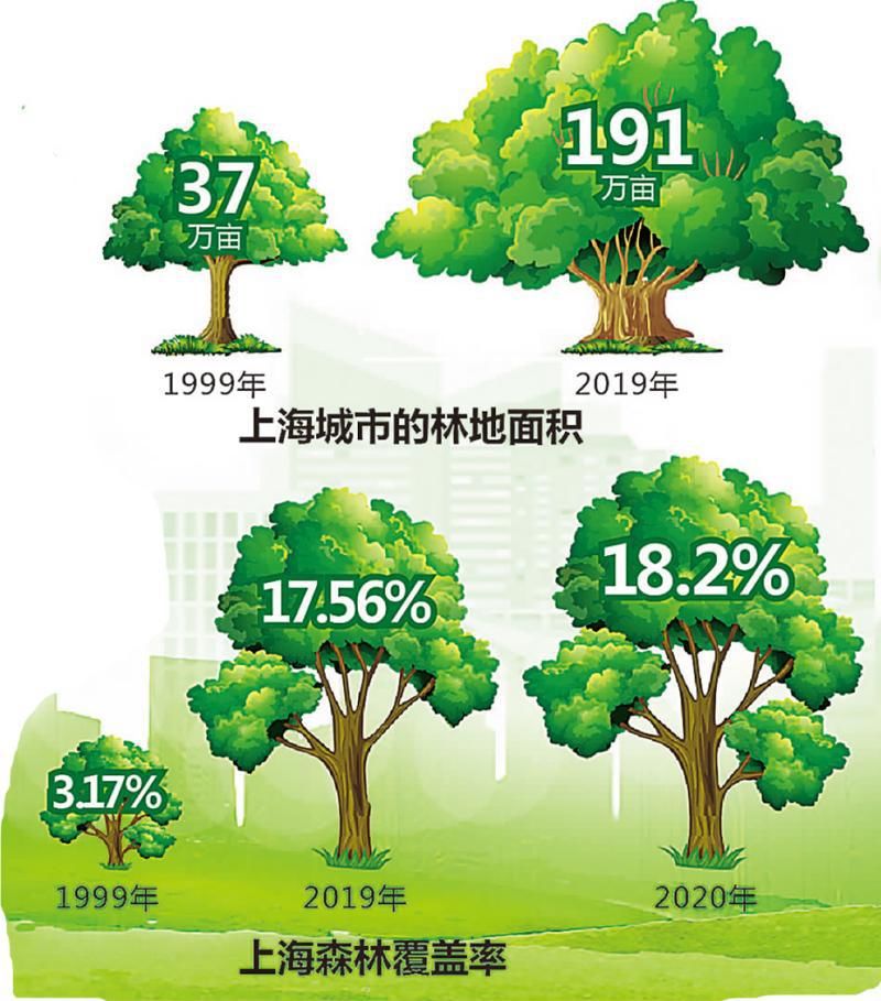  公园|多种绿树，不搞地产！回应市民意见，上海这些公园景观令人惊艳