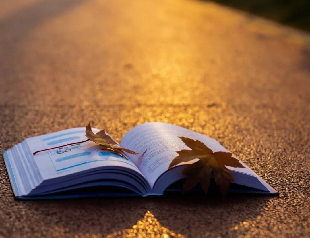 月饼|人间烟火——芝麻月饼