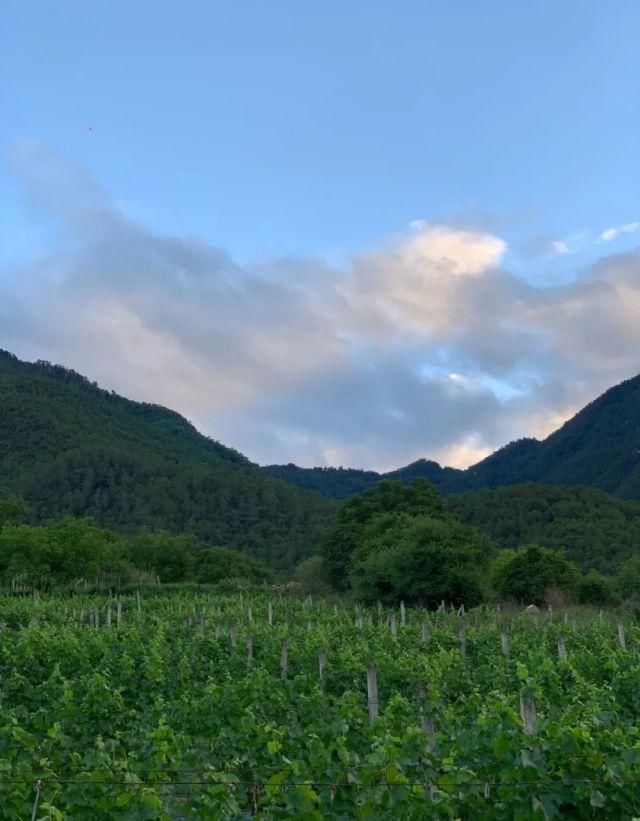  只能|如果今年只能来一次，走这条路线就对了！