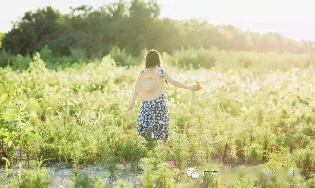 生活|永远不要活在羡慕别人的生活中，做一个让自己羡慕的人