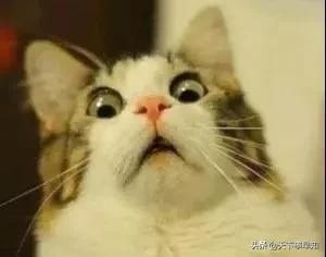  大人|突发惨剧！山西一儿童落水触电，3名大人营救不慎，致2死2伤