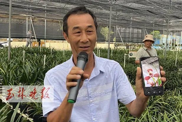 仁东镇鹏垌|令人骄傲！玉林这些地方的变化真大
