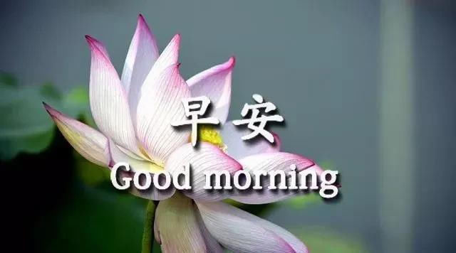  期六|有些人事，看不清会纠结，看清了会心痛。早安