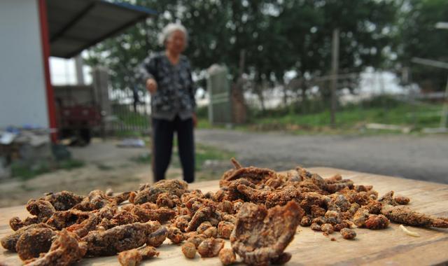 还债|79岁老人替儿还债330万，坦言人在债在，不能活的没有良心