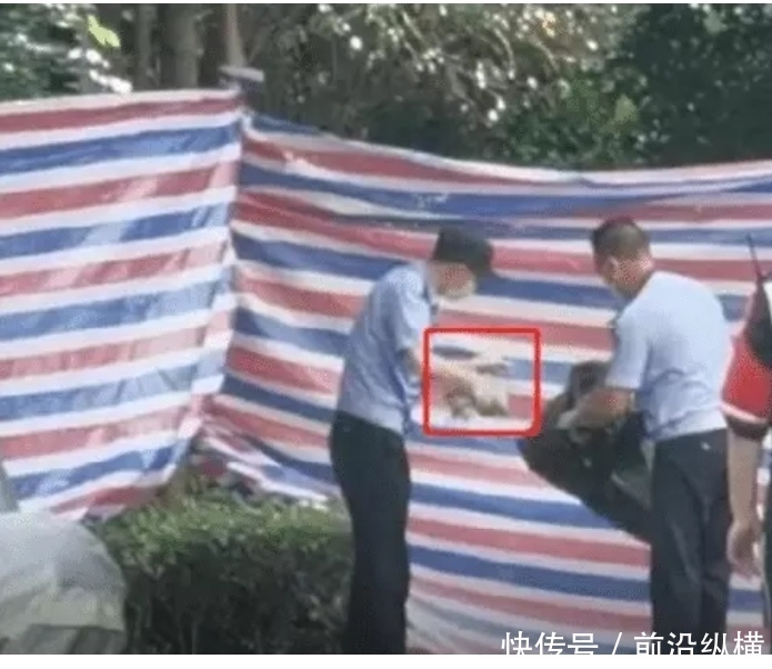  单身|谈杭州53岁女子失踪事件，死亡线上的婚姻，是将就还是宁愿单身？