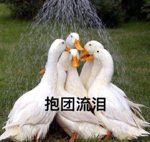  光明记忆|1小时内就能通关的“超短流程游戏合辑”，来试试你要多久？