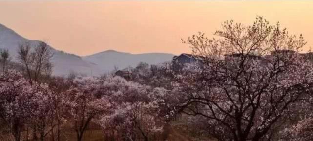 华佗|“建安三神医”除了华佗与张仲景，还有一个是谁？