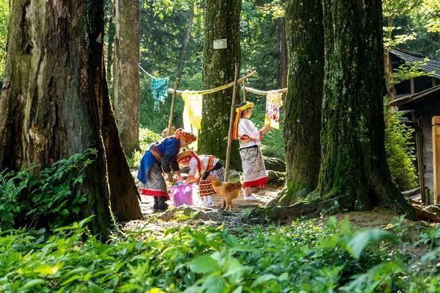 崇木|崇木凼村：与“古树”相生相成