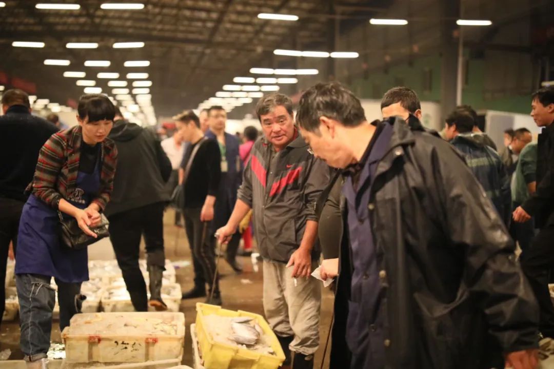 新鲜|“东海第一网”来了!透骨新鲜的招牌菜悉数回归