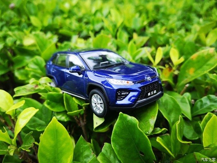 拍摄|拥有威兰达车模,绽放花丛中,说说感受