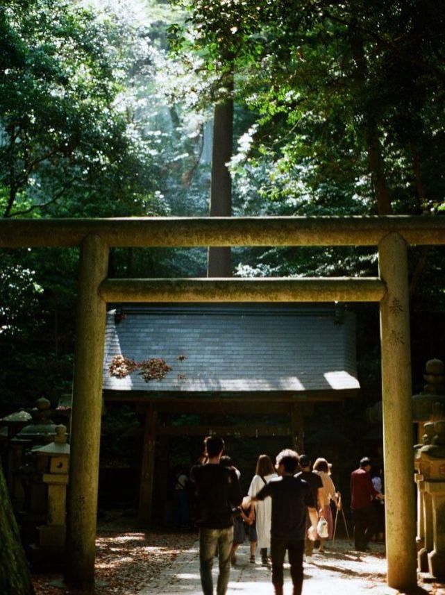  园林设计|从金阁、银阁的园林设计中，深入分析日式庭院的阴翳美学