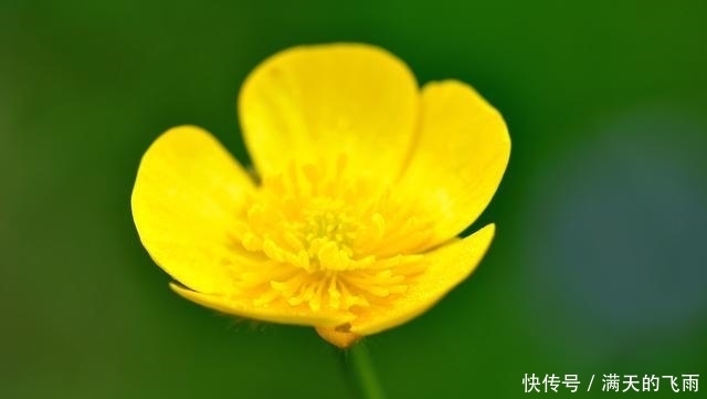 前程似锦|在7月中旬,逢凶化吉,柳暗花明,前程似锦的三大星座