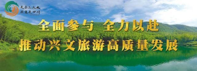  罚款|罚款！扣分！兴文城区街头这些车辆被曝光