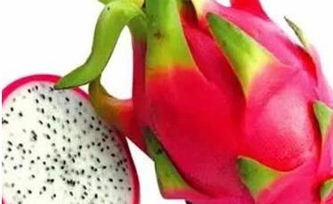 火龙果|买了多年的火龙果,才知道挑火龙果要看哪里,花最少钱挑最甜的买