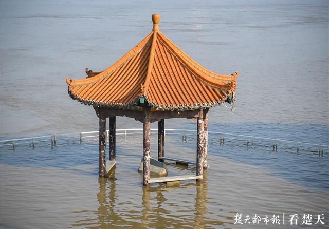 洪水|洪水“标尺” 武昌黄花矶凉亭在江水中露真颜