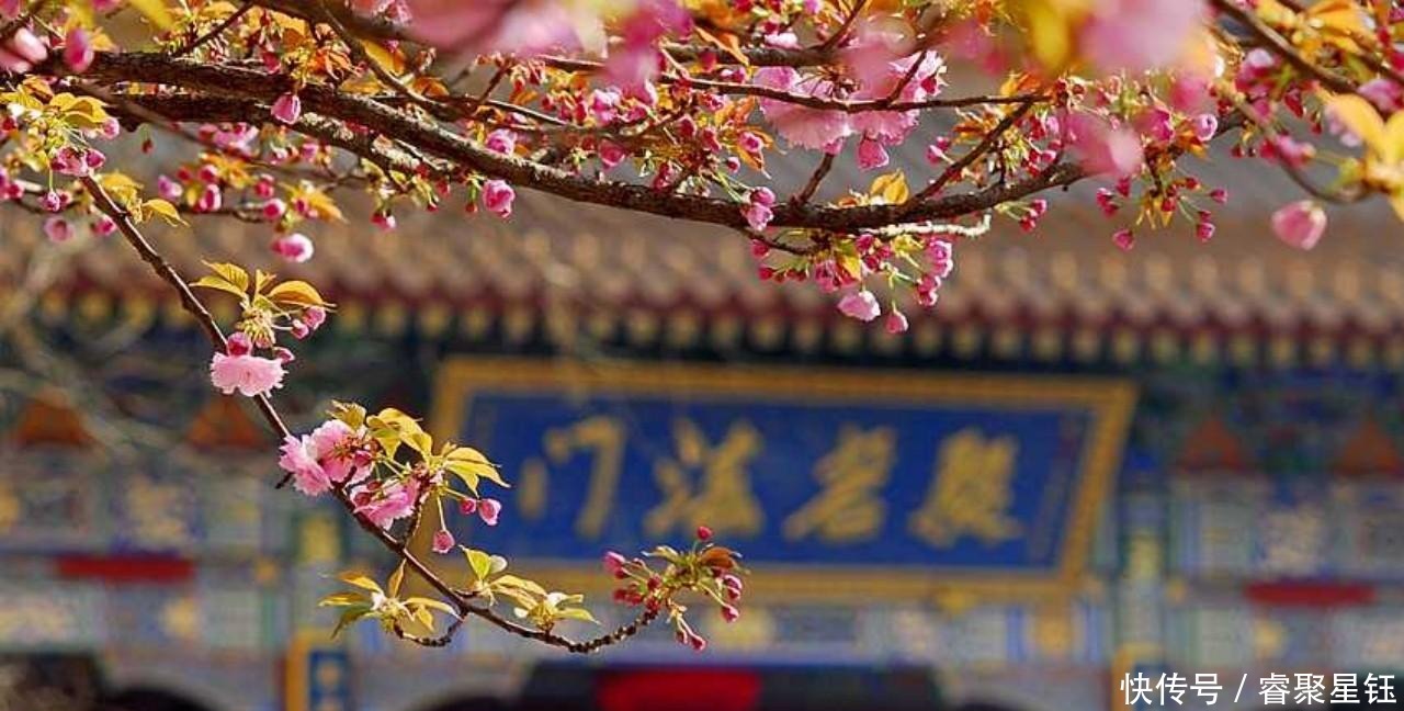 千树桃花玄都观 诗豪刘禹锡, 因为两首桃花