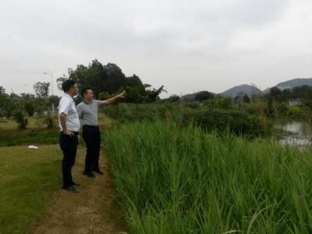 南区|“双节”不打烊！南区奋力打赢黑臭水体整治攻坚战