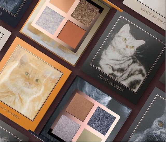  沈梦辰|终于洗白的沈梦辰，怎么就被淘汰了？