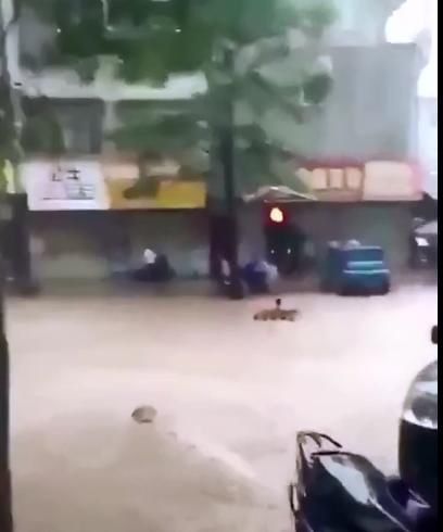  冤枉|男子闯红灯报警自首，面对处罚大喊冤枉：是红灯自己先动的