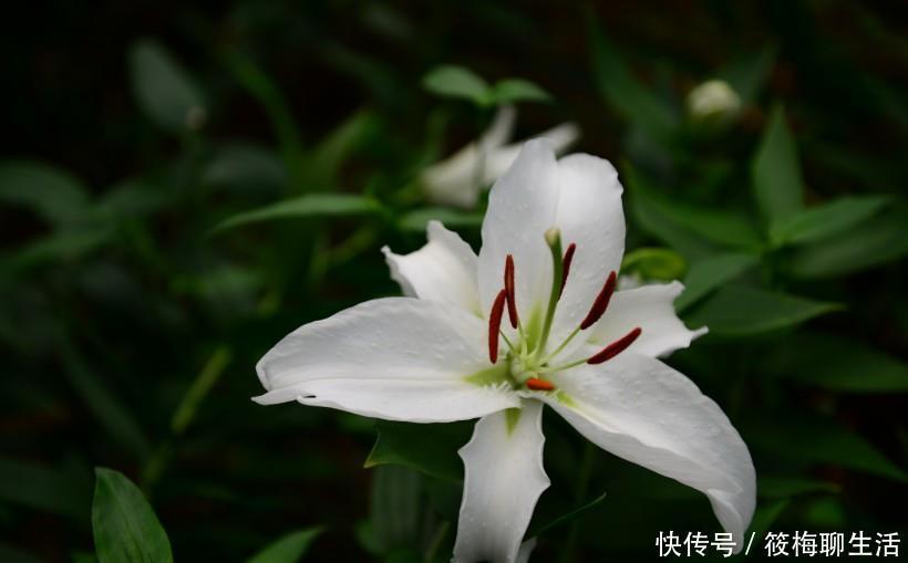 生肖|12生肖：10月7号财富多多的3大生肖，任何事情都会做得很顺心