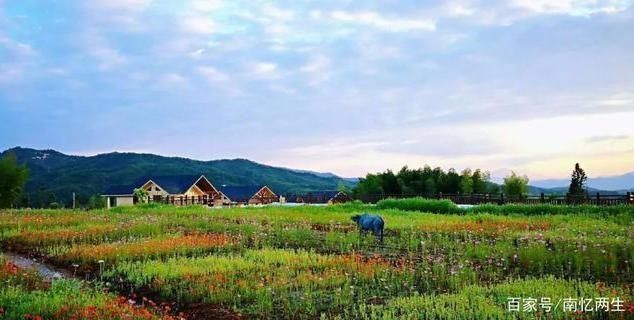  大埠岗|邵武大埠岗樱花小镇，或许就是你要寻觅的诗与远方