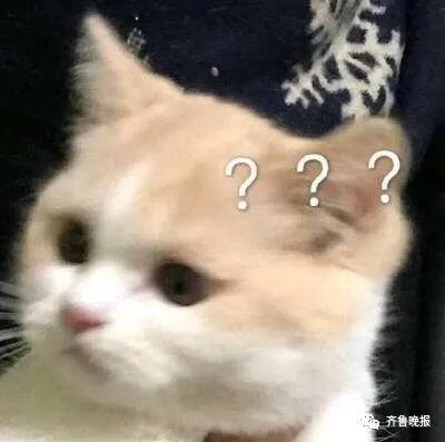 手表|男子酒后与妻子争吵却把路人打了！还有8万多的手表也坏了…