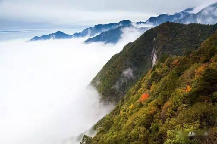  天台山|观云海、赏秋景，天台山迎来一年最美季节！