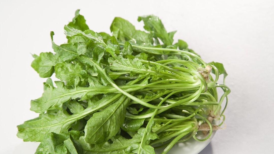  抗菌|此菜消炎抗菌，与鸡蛋同食治疗头痛，点燃熏患处治慢性湿疹