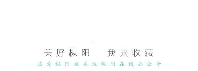 枞阳|枞阳公安交警又?曝光一批交通违法行为，快看可有你认识的~