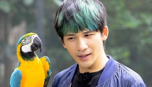  竟然|为什么王一博如此喜欢大张伟？原因竟然是这样，令人倍感心酸！