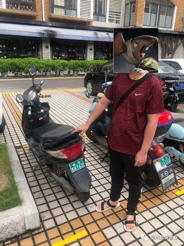 民警|利刃行动丨朝发夕破，夕发朝破！蜀黍打击违法犯罪不打烊！