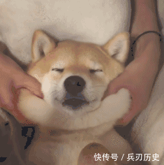 报警|装狗便便的包被抢走，她懵逼站路边，哭问“这……这能报警吗？”