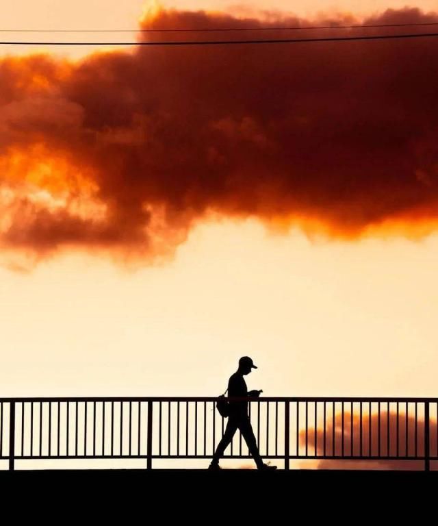  就算你们|我终于明白行动、爱和受苦，其实就是活着。