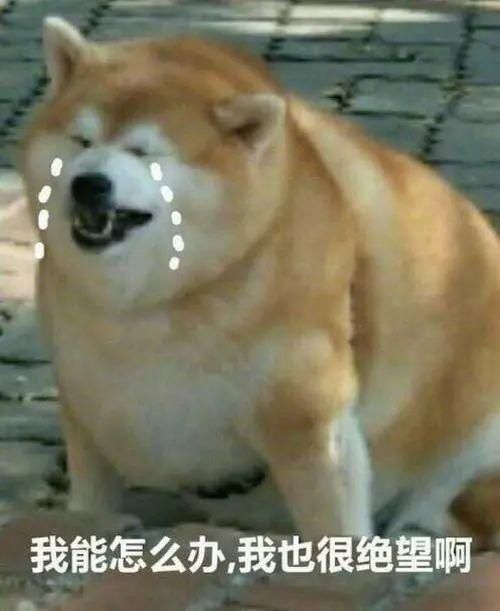 海底|“海底捞的服务到底有多神奇”哈哈哈……终于能让外国友人也感受下了