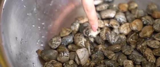 蒜蓉|鲜香美味藏不住!金银蒜蒸花蛤,夏天就爱这口