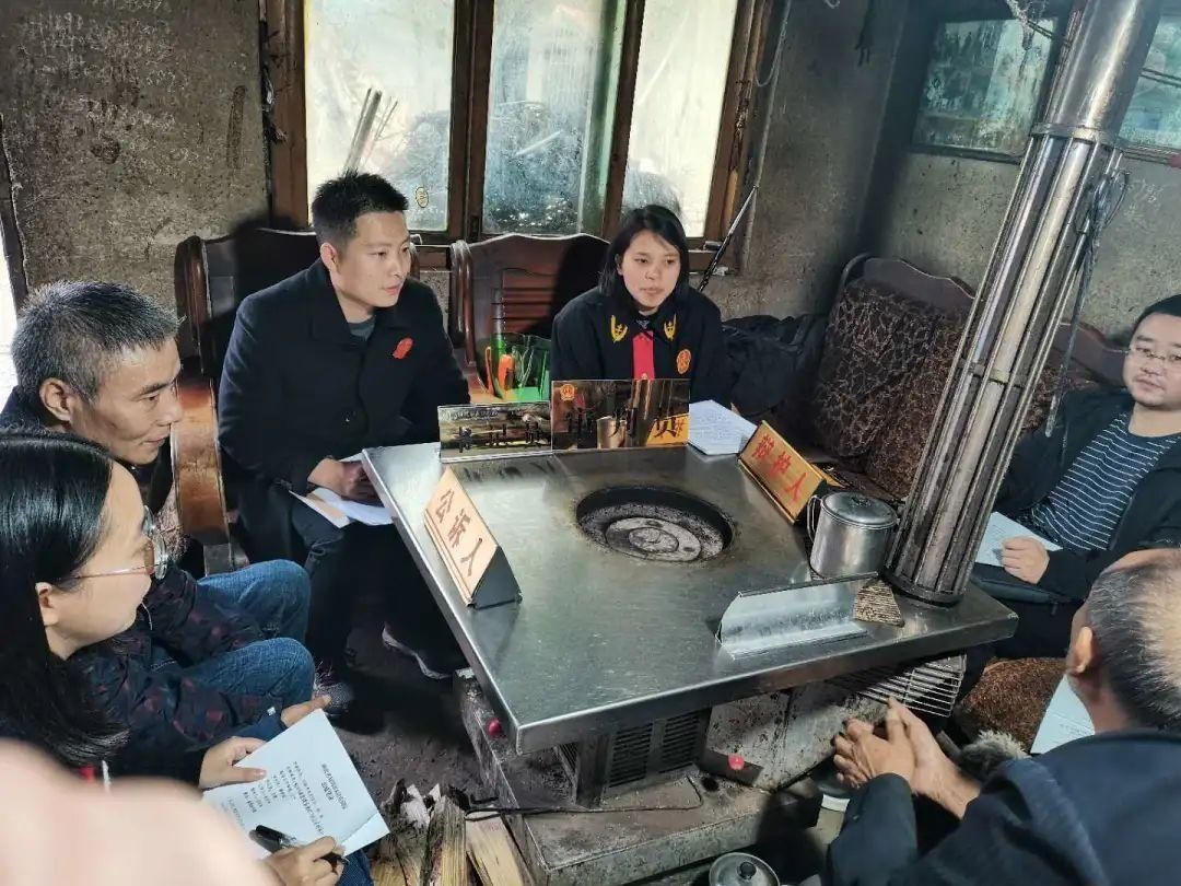 法官|古稀老人滥伐林木法官上门办案暖人心