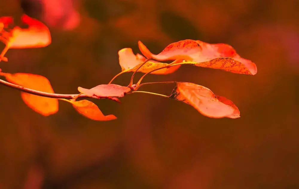深处|秋深处,品味岁月的馨香