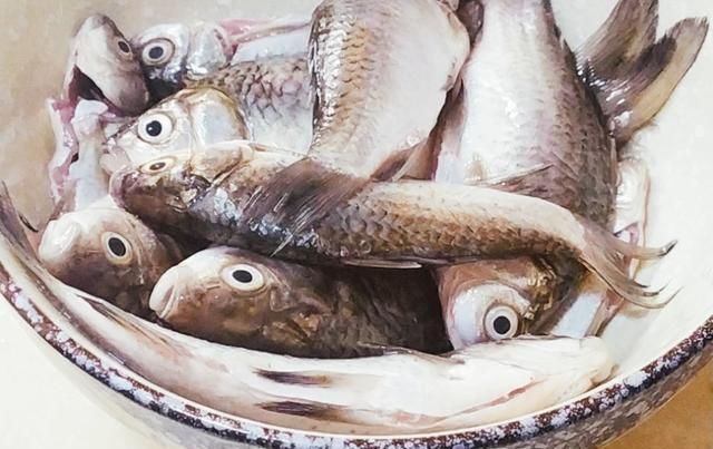  保鲜|鱼类保鲜全攻略，卖鱼人三十年的老经验8个方法，让你的鱼更新鲜