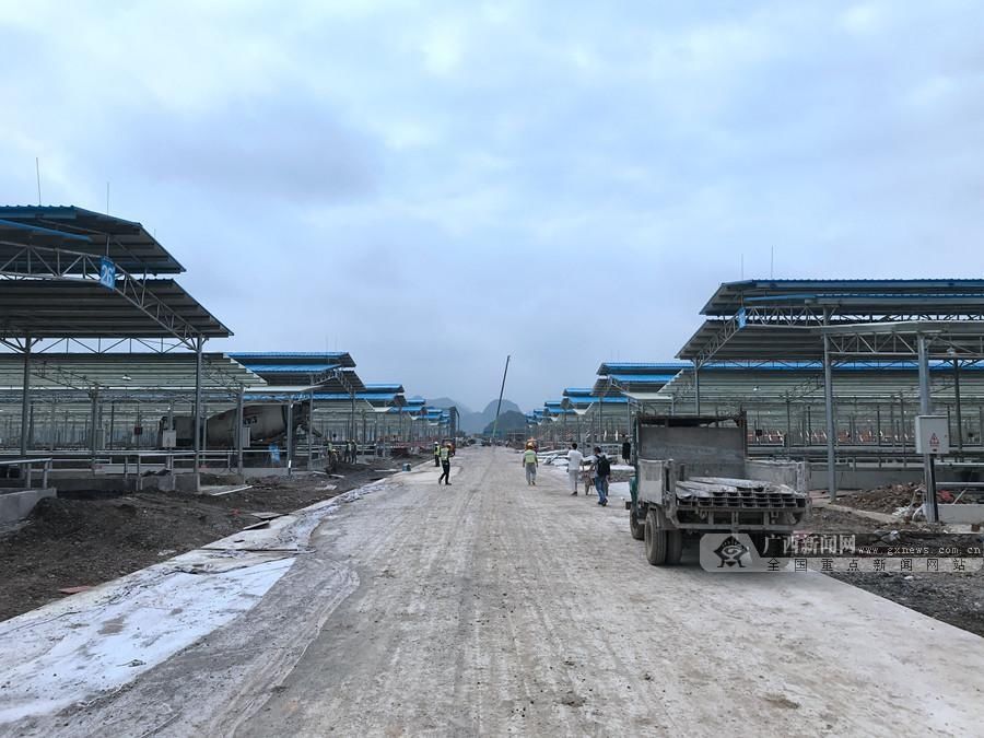 打造|忻城：14亿打造“牛”经济 助力产业扶贫和乡村振兴