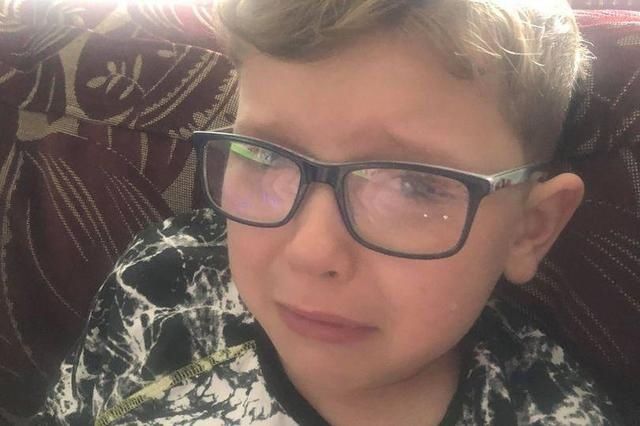  袭击|心爱的宠物猫遭恶犬咬伤致死，英国5岁自闭症男孩痛哭流涕