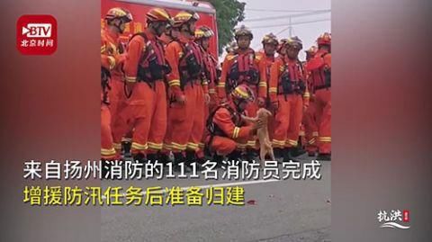  调侃|流浪狗送别消防员被送上绊脚摔 网友调侃：终究是错付了