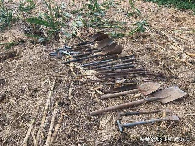 出没|避免被发现，盗墓者提醒“此地有鬼出没”，组成“四省联军”挖墓