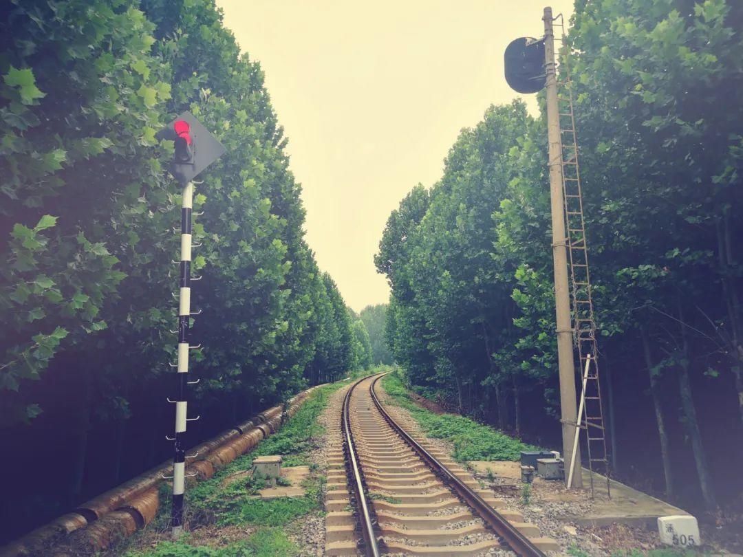  济宁|瞒不住了！济宁这些“隐秘的角落”必须曝光