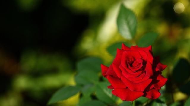 短语|值得品读的人生感悟短语，句句引人深思，值得品读