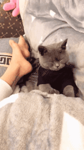 搞笑|搞笑GIF：姑娘跳水，看着就疼