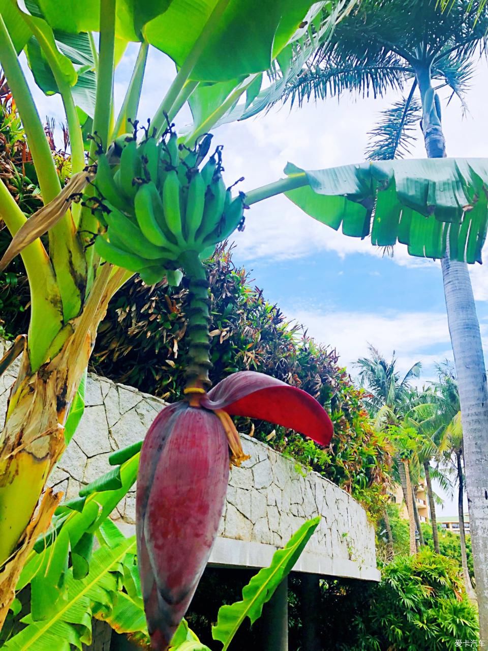  稳定|疫情稳定后带你去看北纬18度的海。