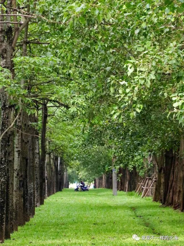 感觉|北海新发现:这个网红公园太漂亮了,感觉到了欧洲