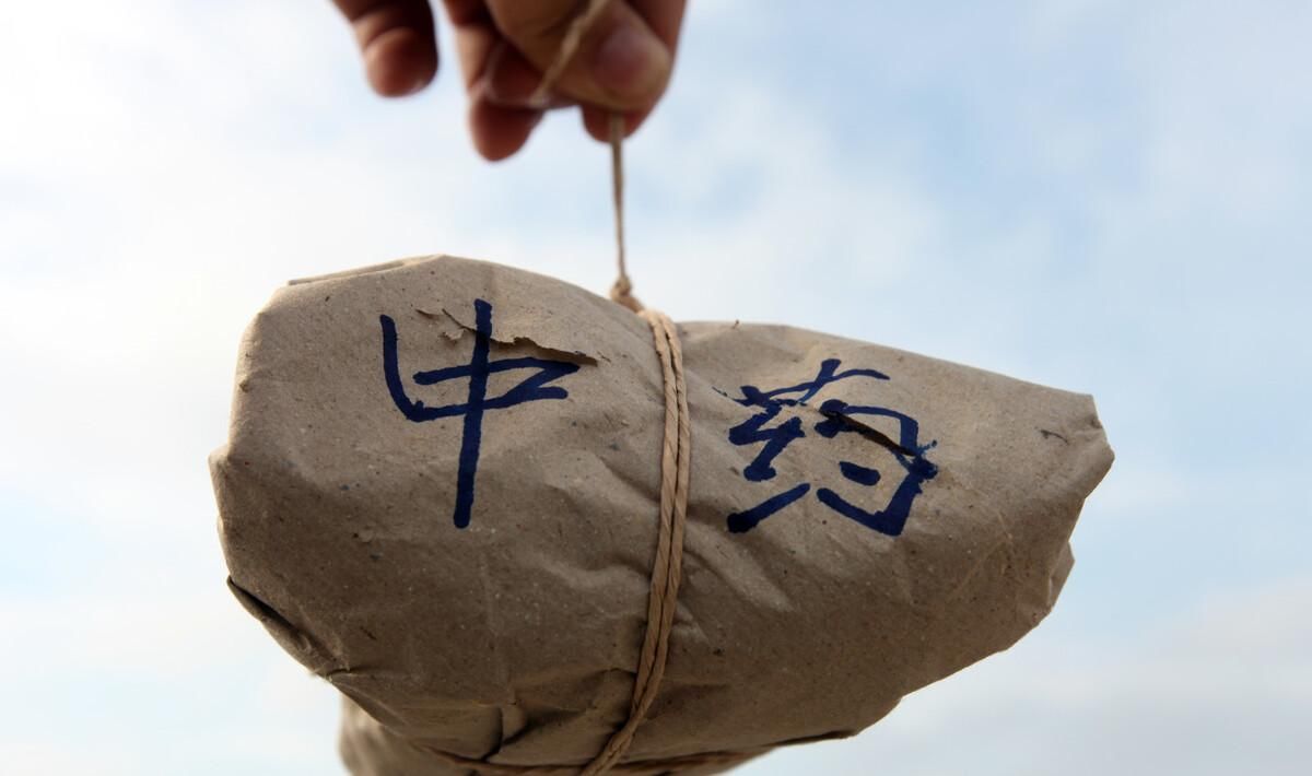 漫山遍野|心绞痛吗?漫山遍野的小根蒜就能解决