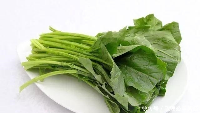  食物|南方人说: 北方的食物, 是世界上最大的骗子! ?