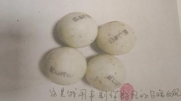 农贸市场|团伙街头“做局”，已有多位市民被骗